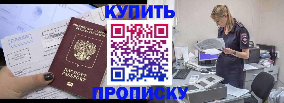 временная регистрация поиск в Тайге